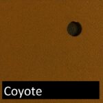 Coyote